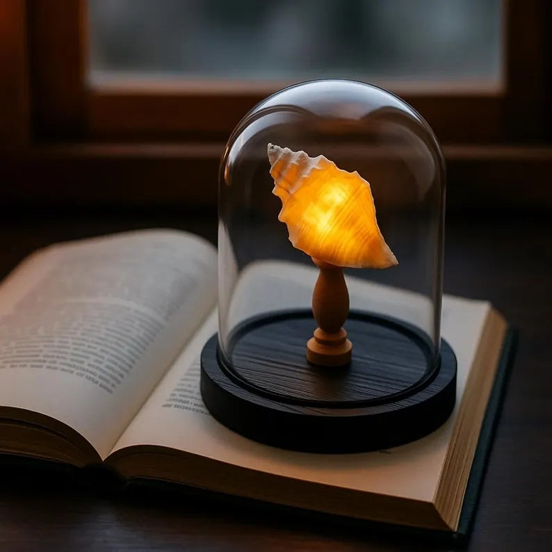 Ocean Shell Dome Night Light Decor