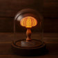 Ocean Shell Dome Night Light Decor